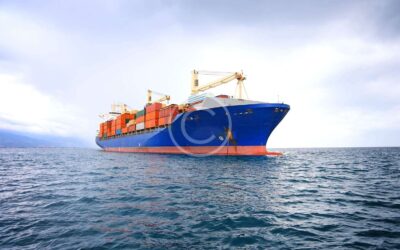 Ocean Freight Forwarding